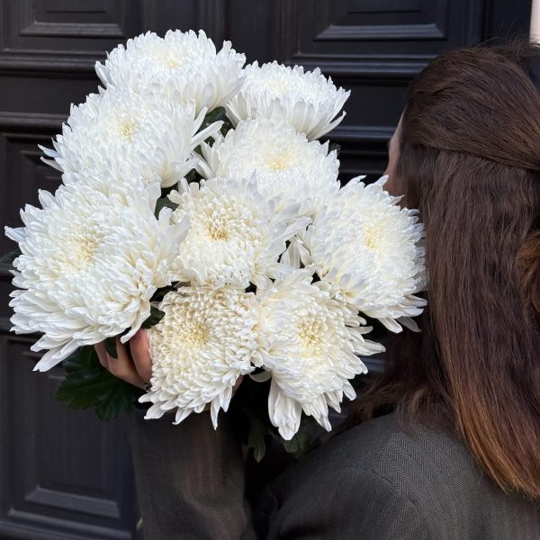 Bouquet of white chrysanthemums