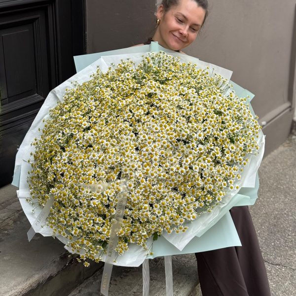 Margrietiņu pušķis