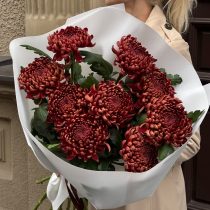 Chrysanthemums Ankara Red
