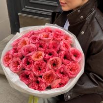 Peony rose "Mandarin"