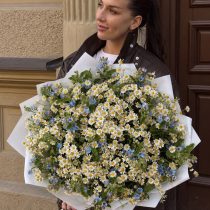 Margrietiņu un neaizmirstulīšu pušķis