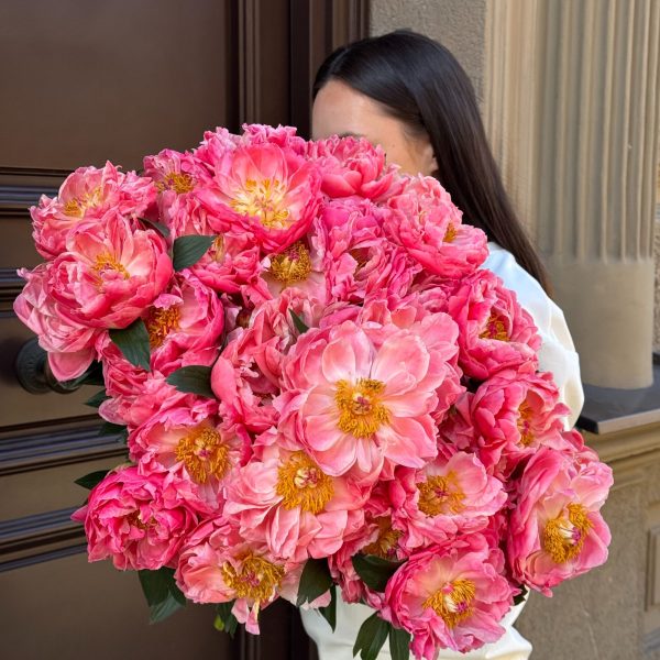 Coral peonies