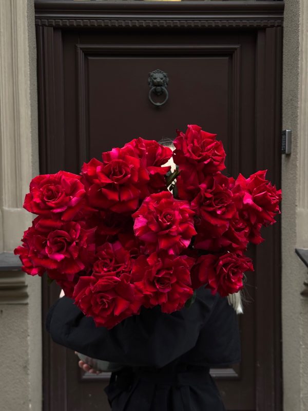 Roses Red Panther