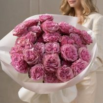 Pink peony roses