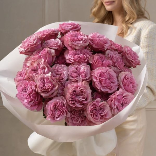 Pink peony roses