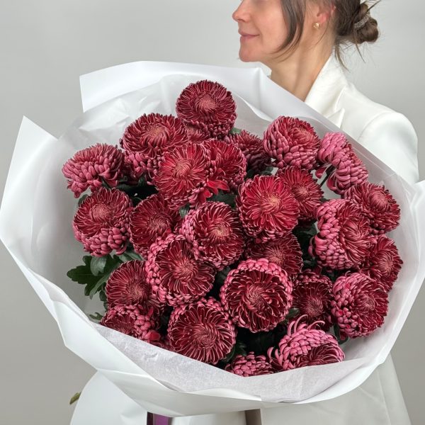Krizantēmas Bigoudi