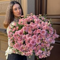 Pink spray chrysanthemum