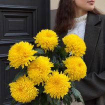 Bouquet of yellow chrysanthemums