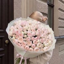 VIP розы Мансфилд Парк 60cm