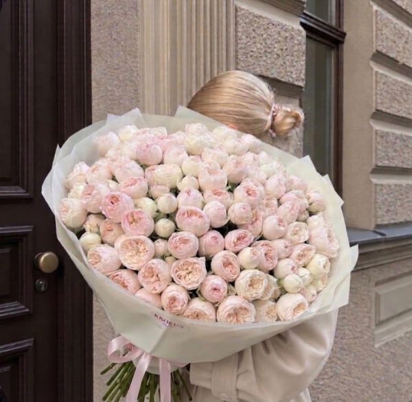 Mansfield park Rozes 60cm
